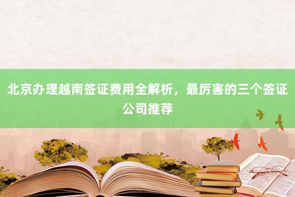 北京办理越南签证费用全解析，最厉害的三个签证公司推荐